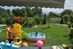 Fofi's garden